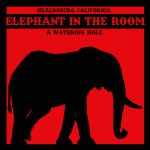 Elephant In The Room Healdsburg